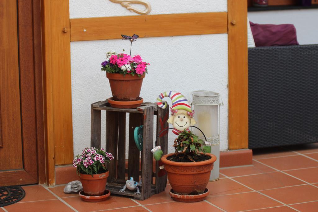 Haus Winkelchen Villa Cochem Eksteriør billede